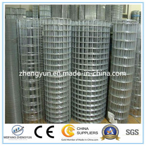 Galvanized Wire Mesh/Square Wire Mesh/Welding Mesh